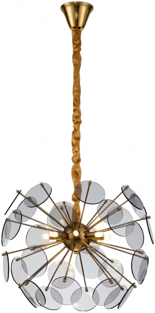 V7080-8P Moderli