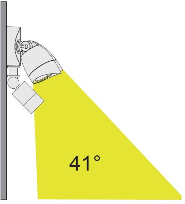W6219A-PiR Bl Oasis Light