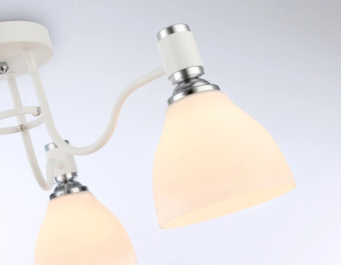 TR303302 Ambrella