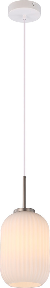 V11029-1P Moderli