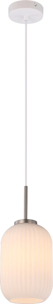 V11029-1P Moderli