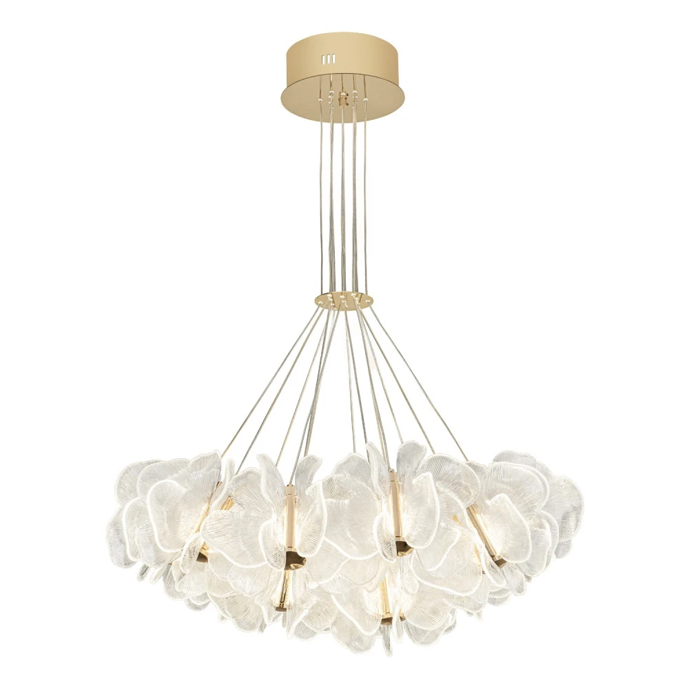 ML.6222.900 CP Modelux