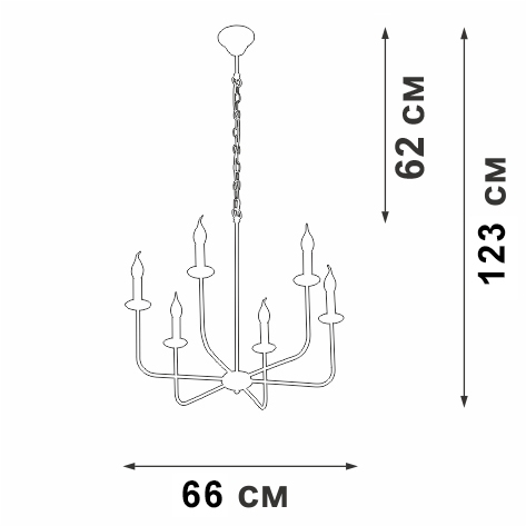 V3986-1/6 Vitaluce