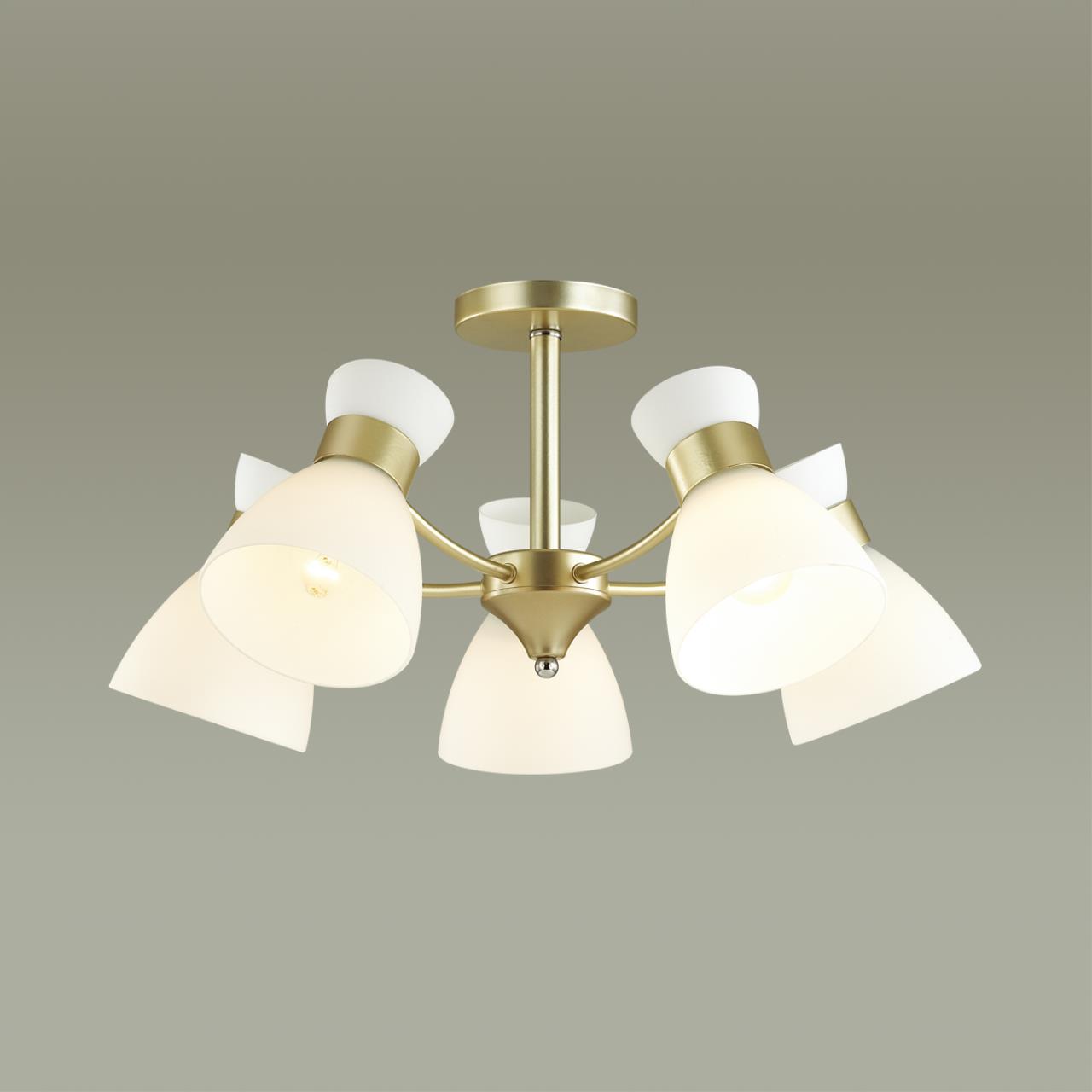 4535/5C Lumion
