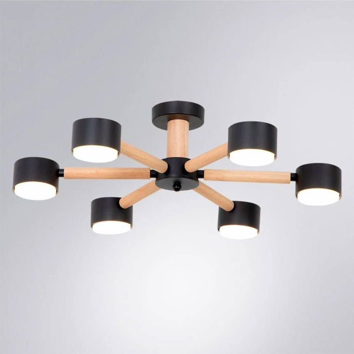 A1624PL-6BK Arte Lamp