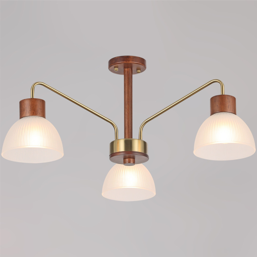 IL0286-3C-79 BR 