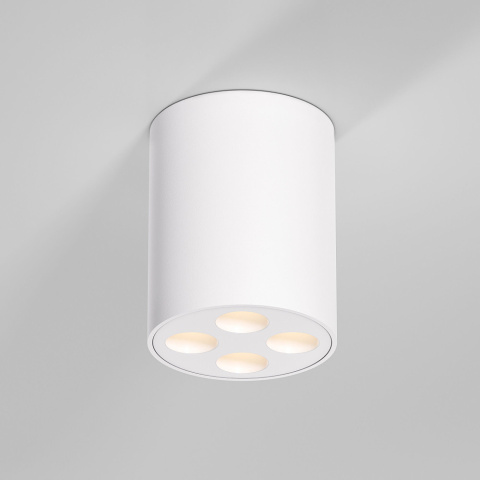 25111/LED Elektrostandard
