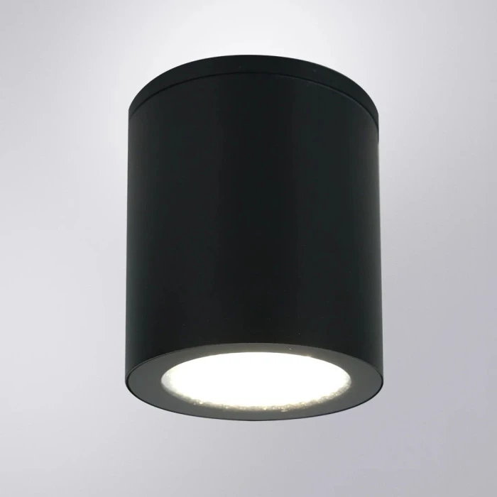 A1313PF-1BK Arte Lamp