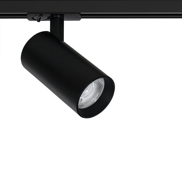A1947PL-1BK Arte Lamp