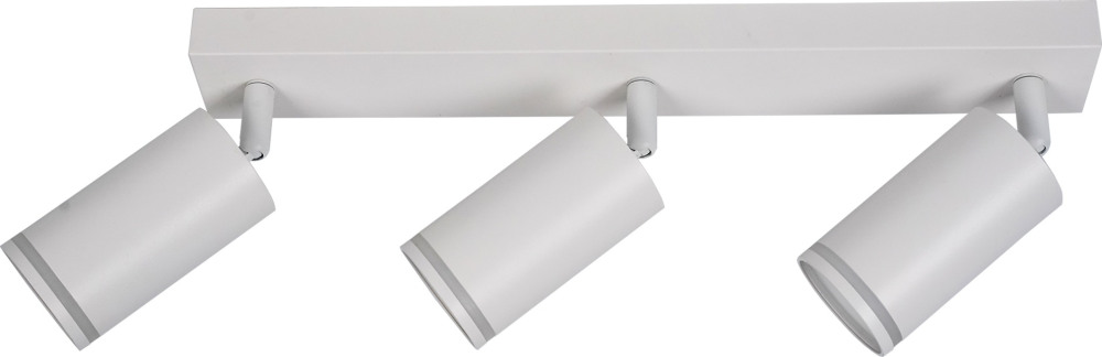 BR08091 Brizzi
