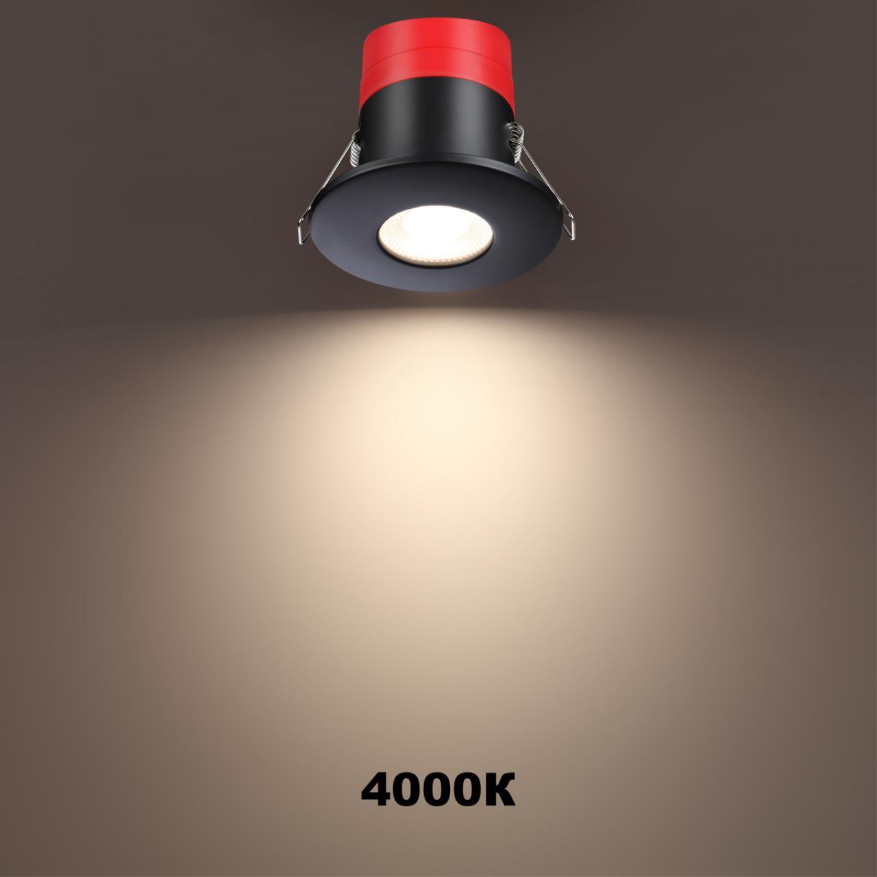 358638 Novotech