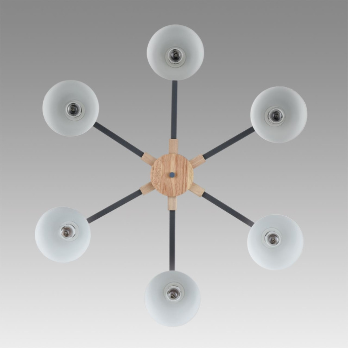 8096/6C Lumion