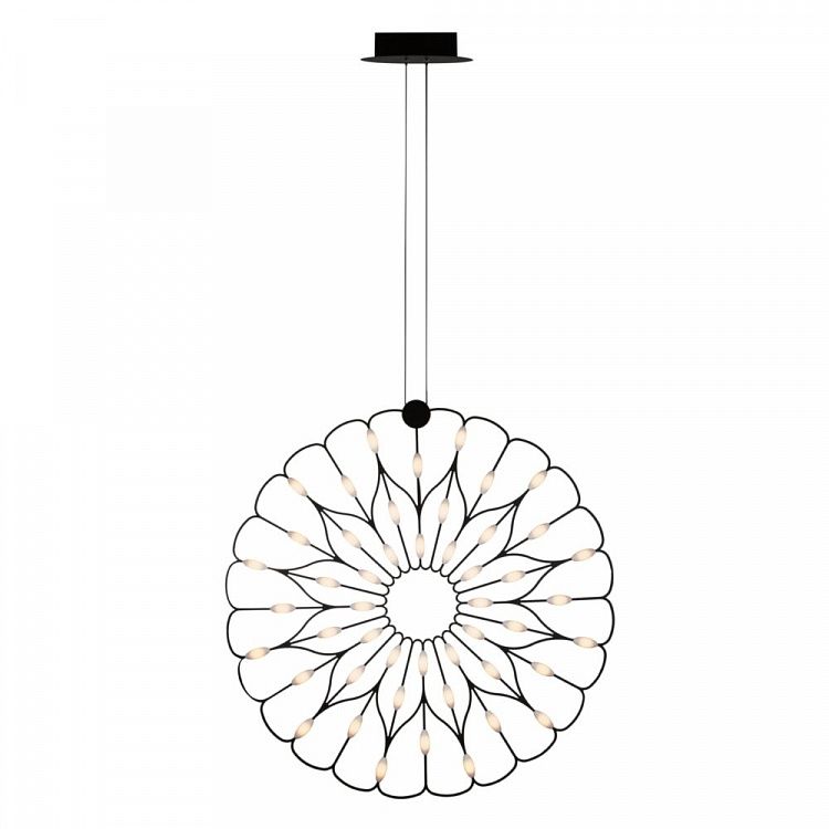 MOD037PL-L48B Maytoni