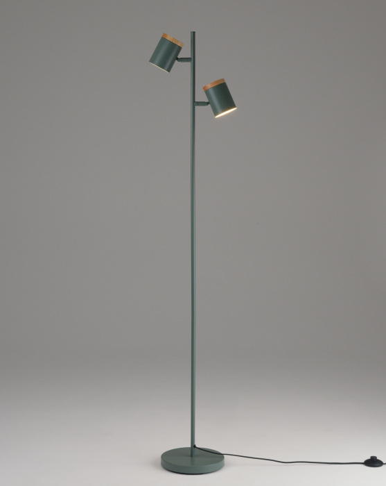 V11290-2F Moderli