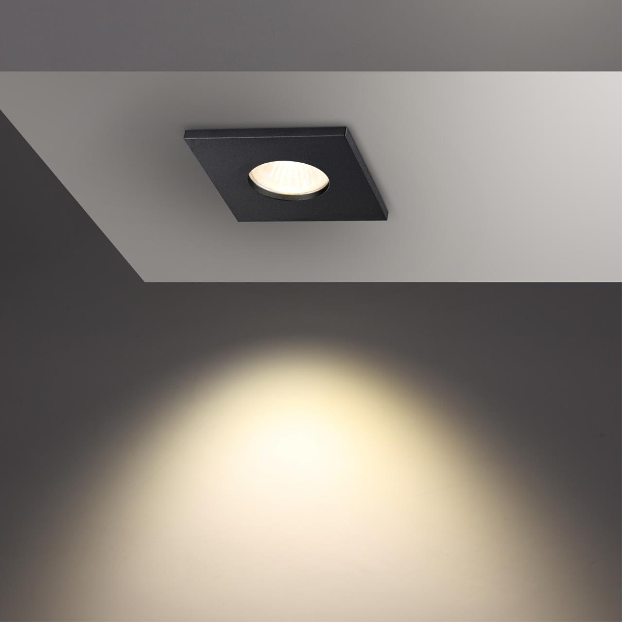 370805 Novotech