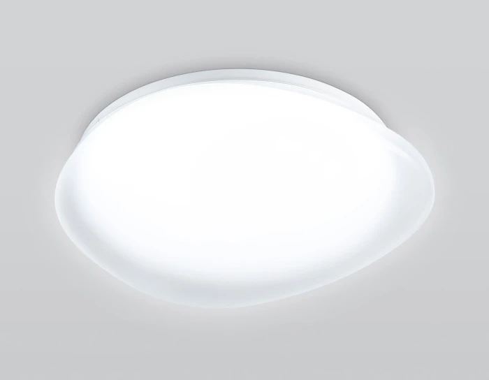 FZ1601 Ambrella