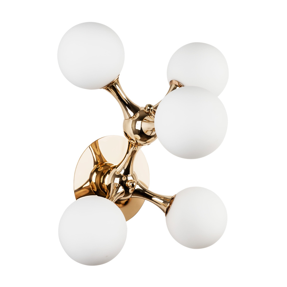 MS.6116.05 GD Modelux