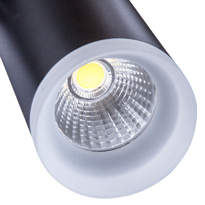 A6813PL-1BK Arte Lamp