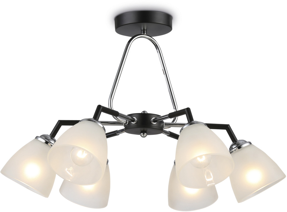 TR303294 Ambrella