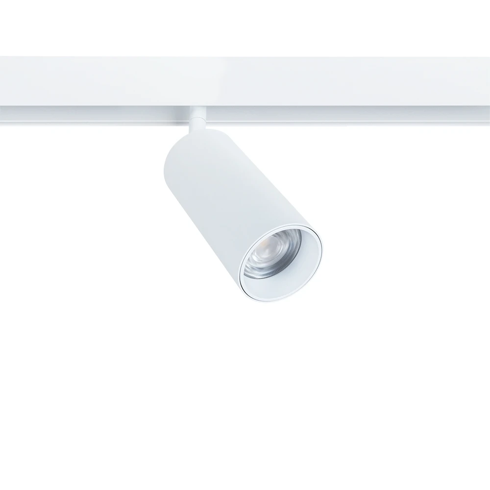 A4661PL-1WH Arte Lamp