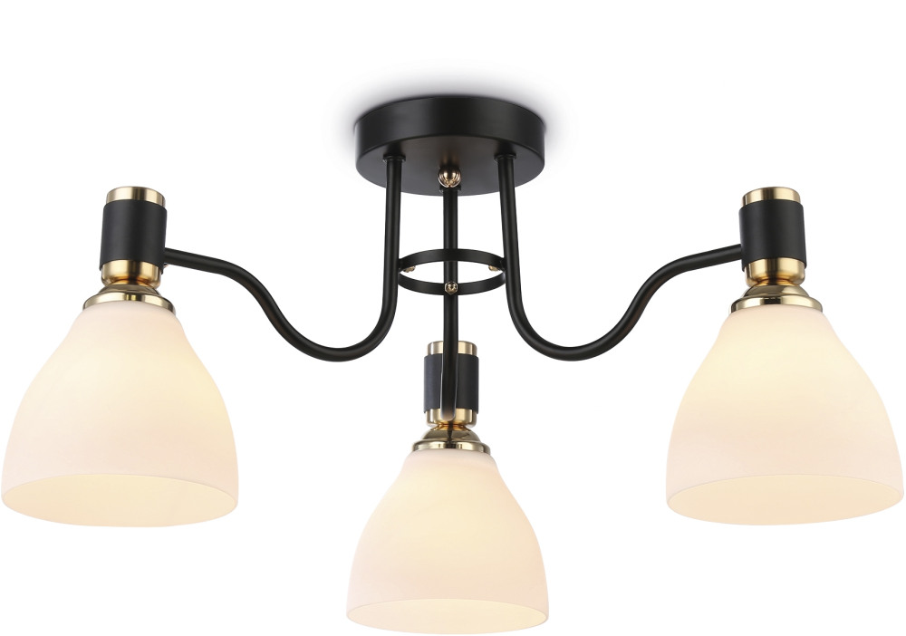 TR303303 Ambrella