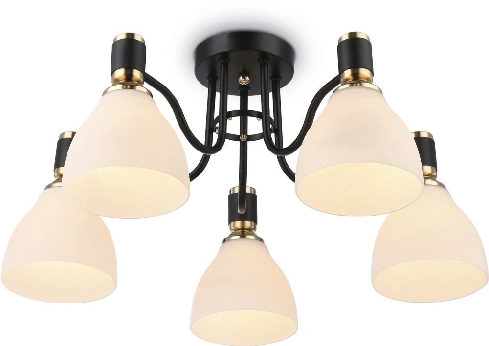 TR303307 Ambrella