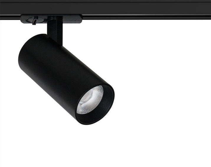 A1946PL-1BK Arte Lamp