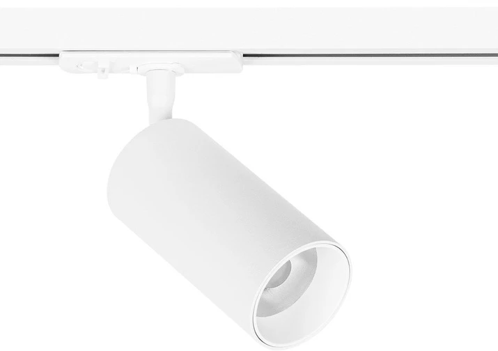 A1346PL-1WH Arte Lamp