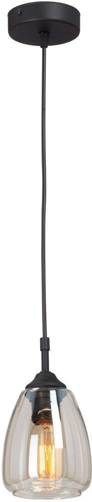 V2965-1/1S Vitaluce