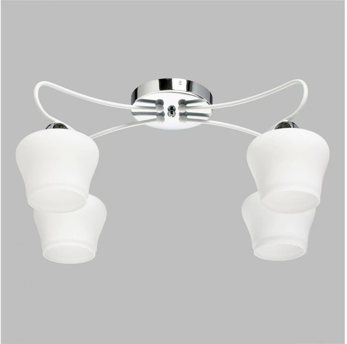 324017704 MW-Light