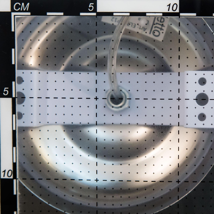 EL338P05 Citilux
