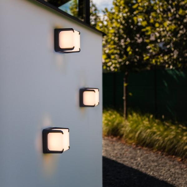 W6166 Gr Oasis Light
