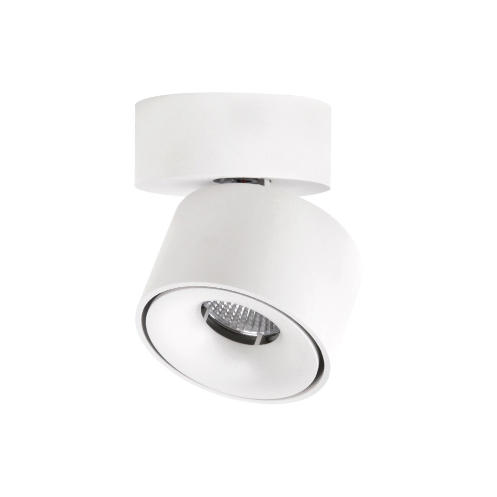 CL558010N Citilux