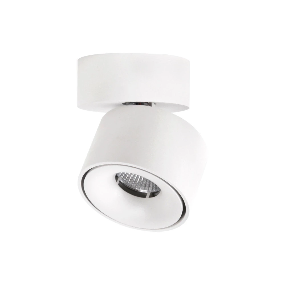 CL558010N Citilux