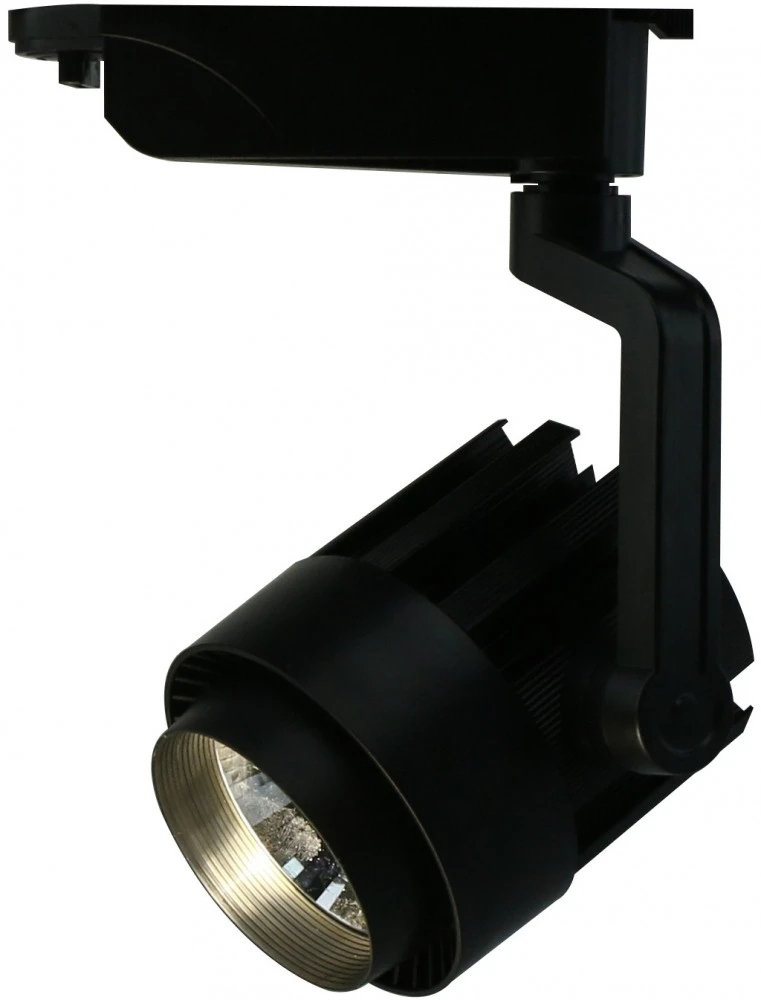 A1630PL-1BK Arte Lamp