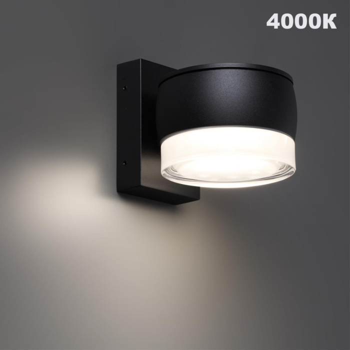 359719 Novotech
