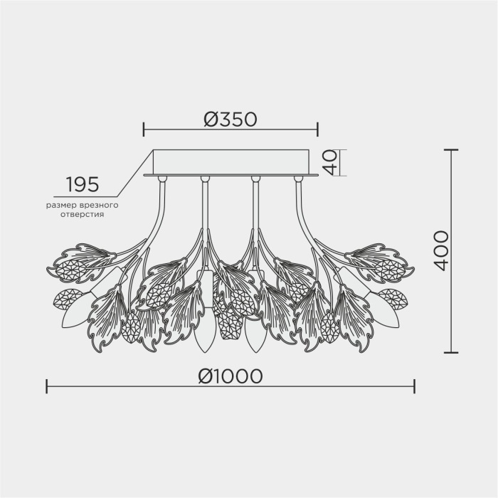 ML.6869.1000 GD Modelux