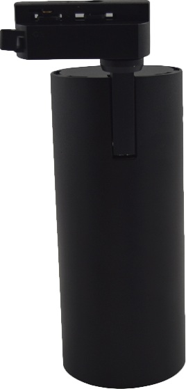 TL3P-BL-10-NW SWG