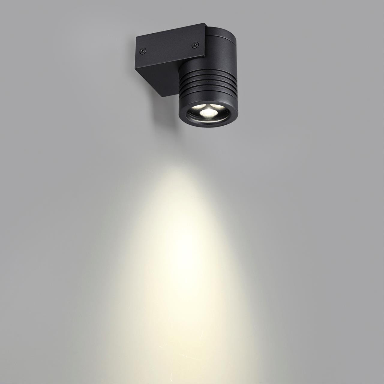 6648/6WL Odeon Light