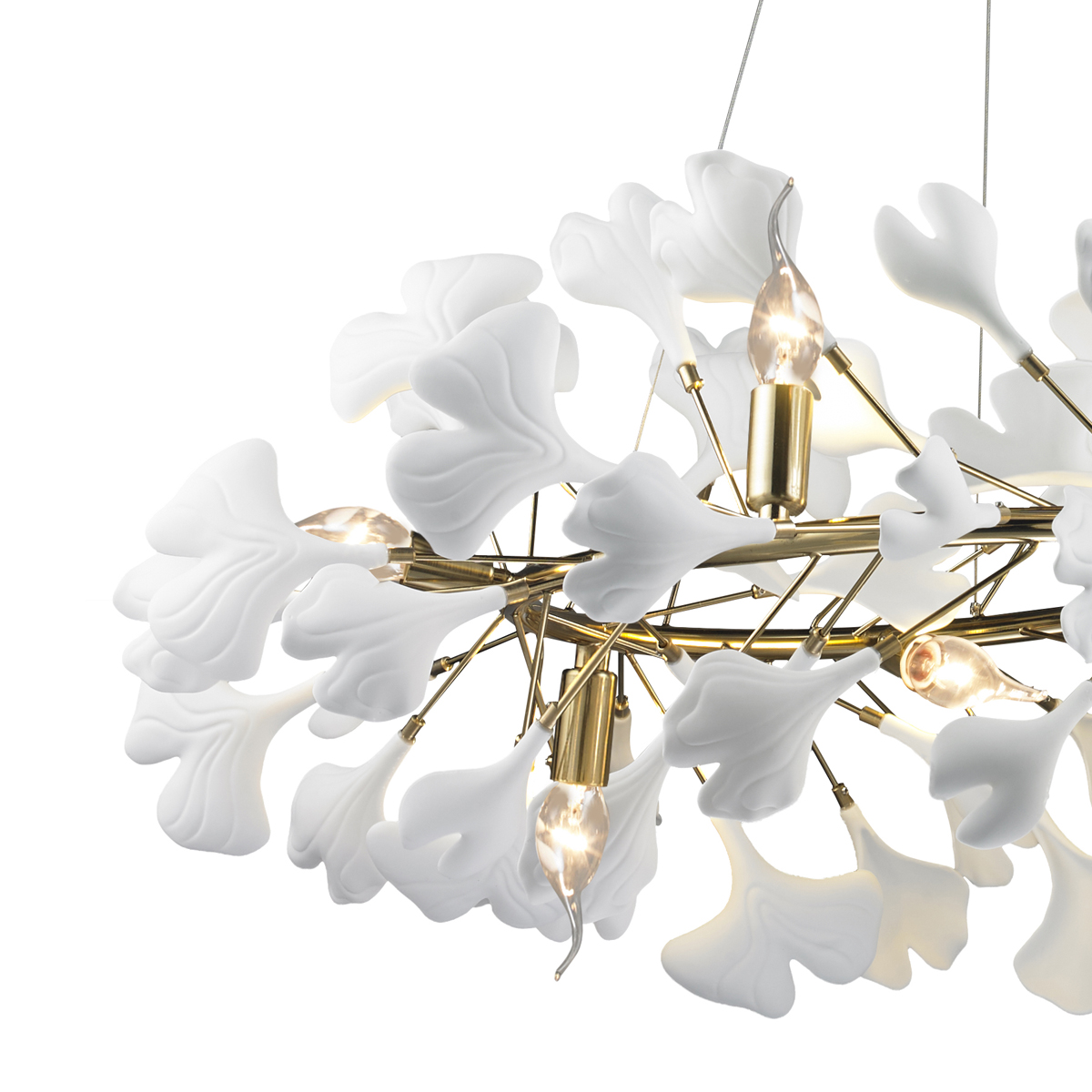 10881P/R800 gold/white Delight Collection