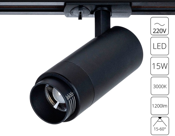A3530PL-1BK Arte Lamp