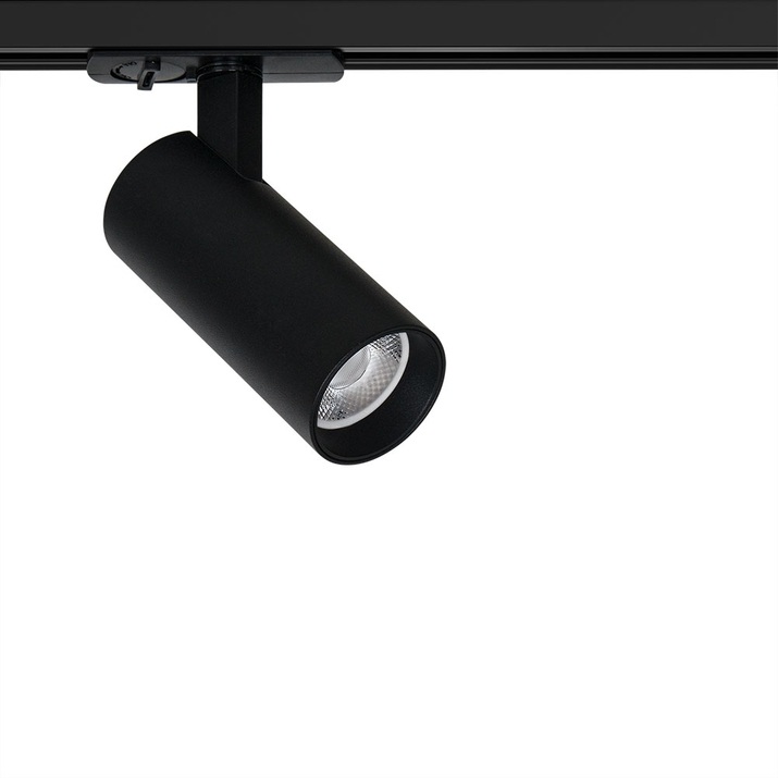 A1945PL-1BK Arte Lamp