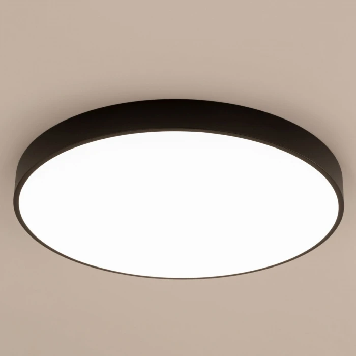 CL724105G1 Citilux