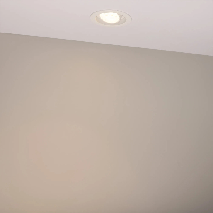 056564 Arlight