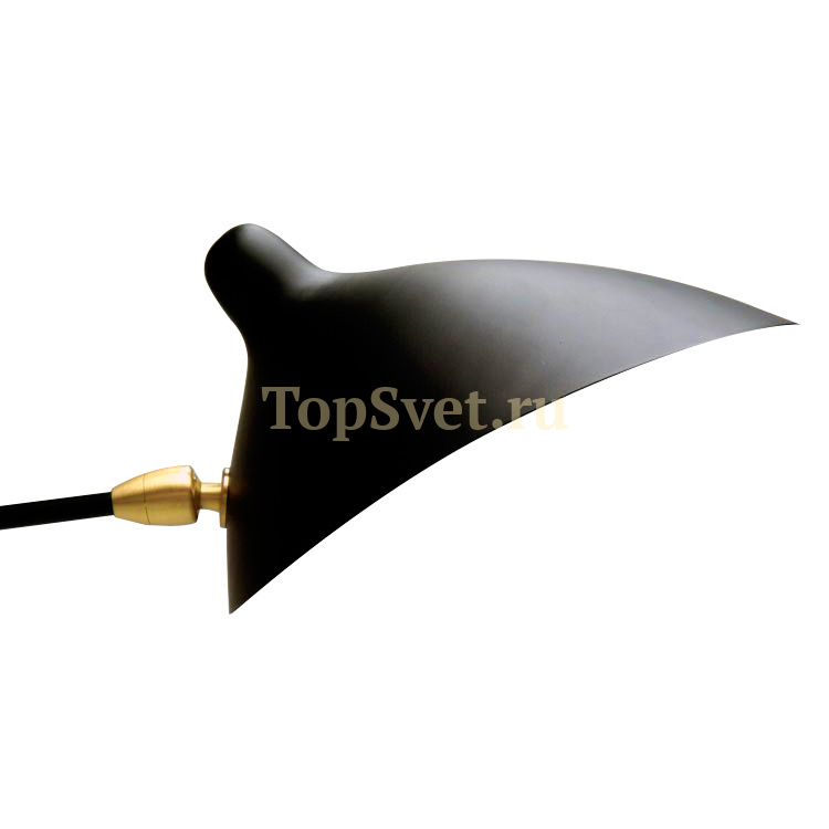 TF8505-3 black Delight Collection