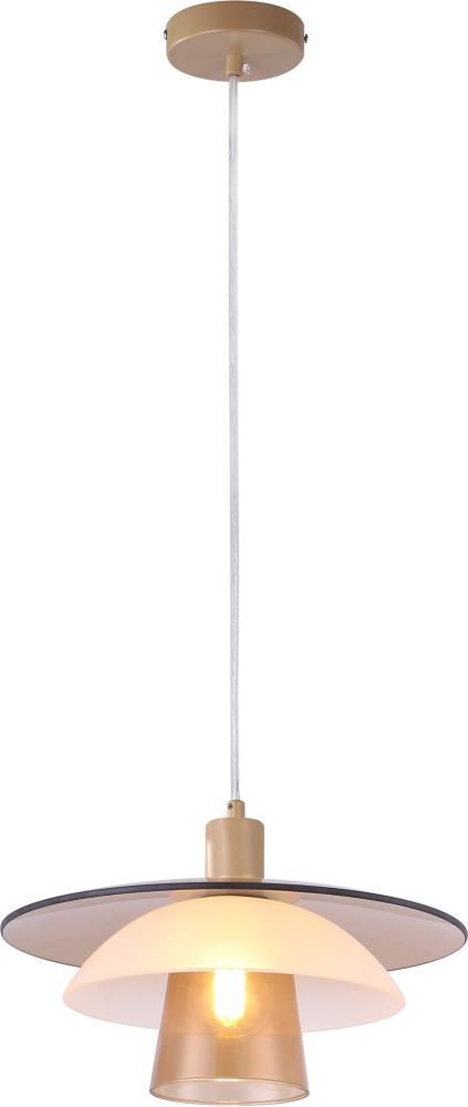 V11028-1P Moderli
