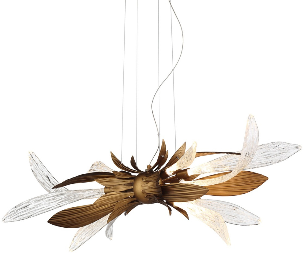 RP168416-11 bronze/clear Delight Collection