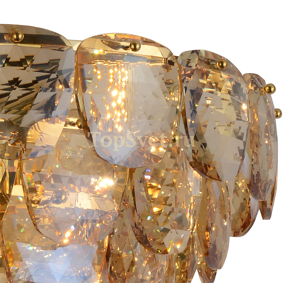 BRCH9909 Delight Collection