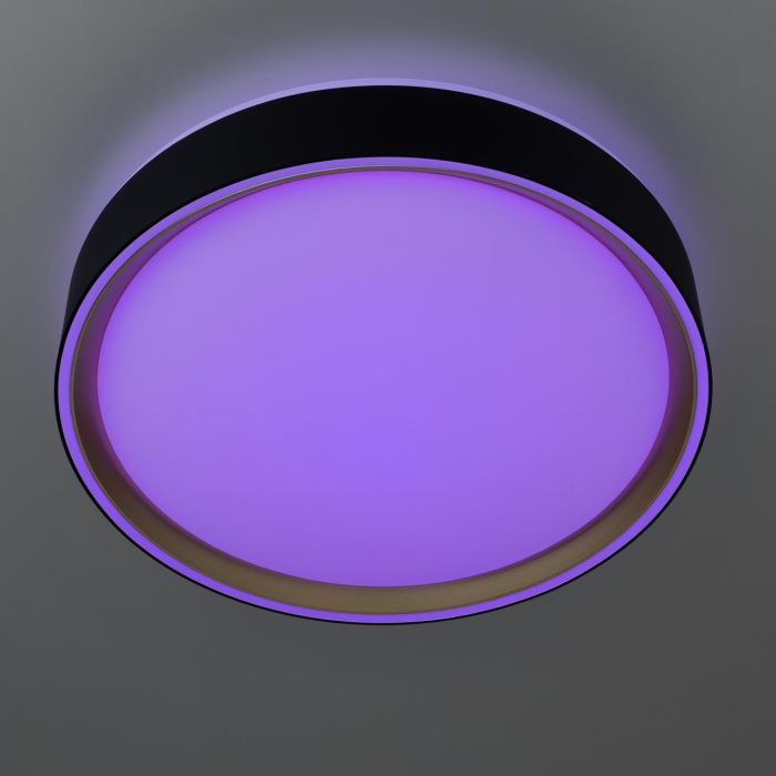 CL751251G Citilux