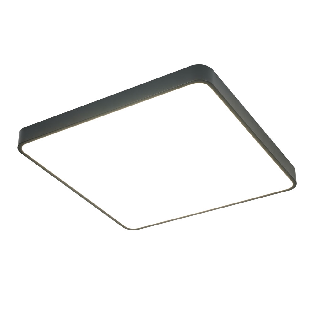A2669PL-1BK Arte Lamp